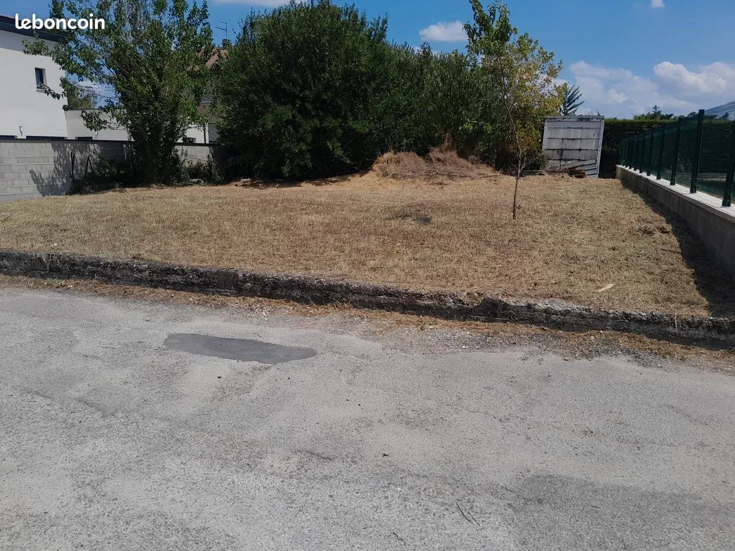 Terrain