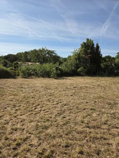 Terrain