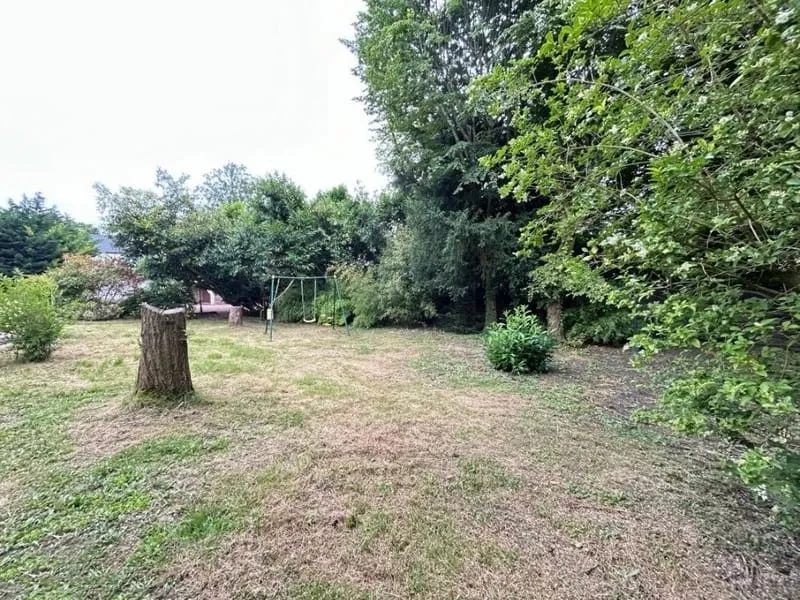 Terrain