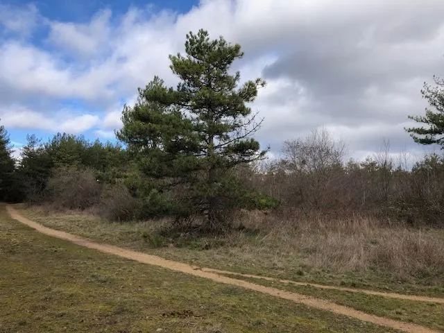 Terrain