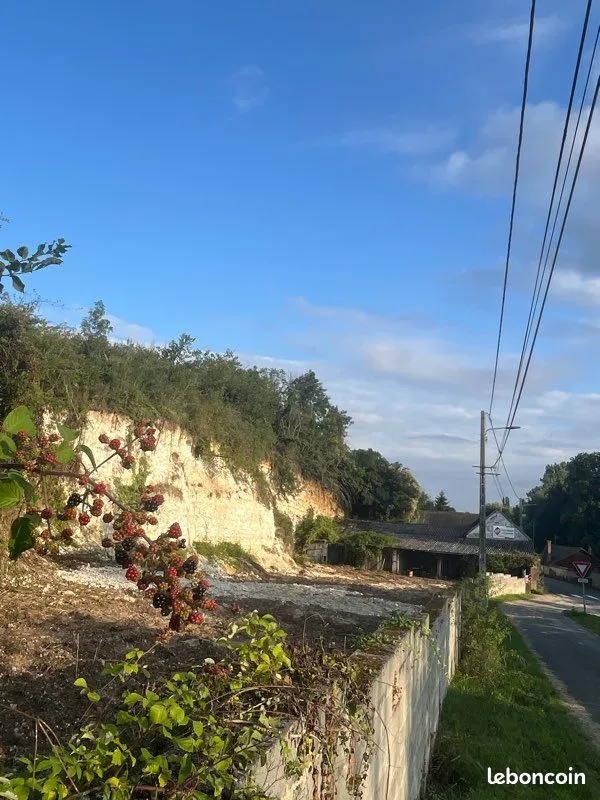 Terrain