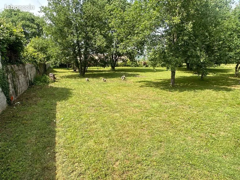 Terrain