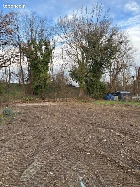 Terrain