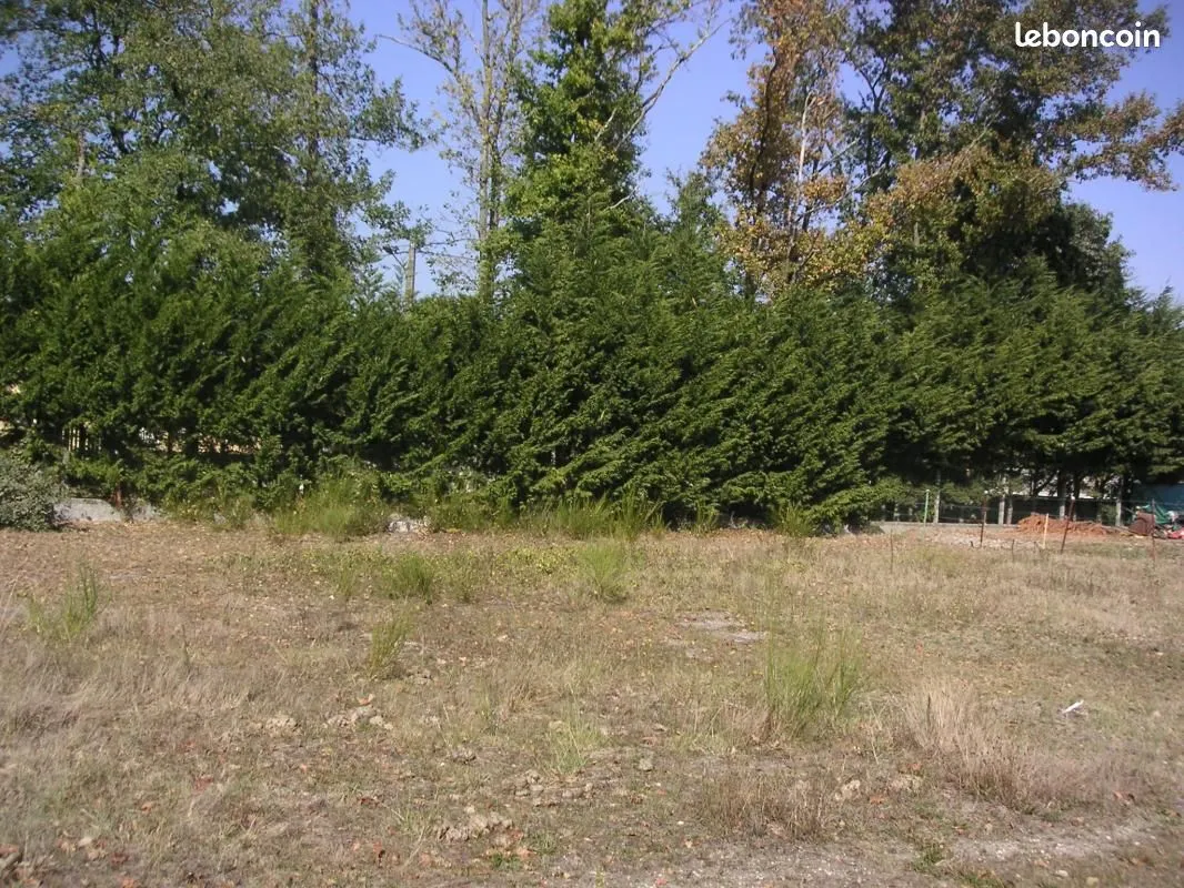 Terrain