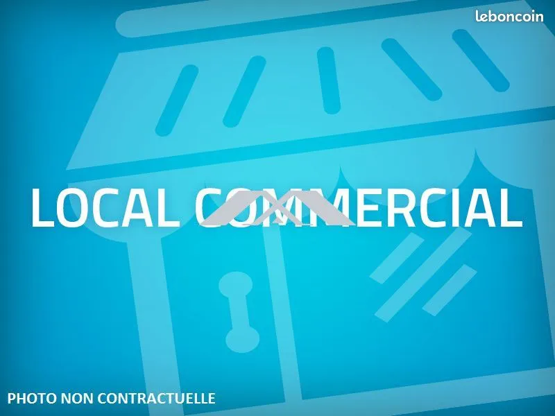 Local d'activité