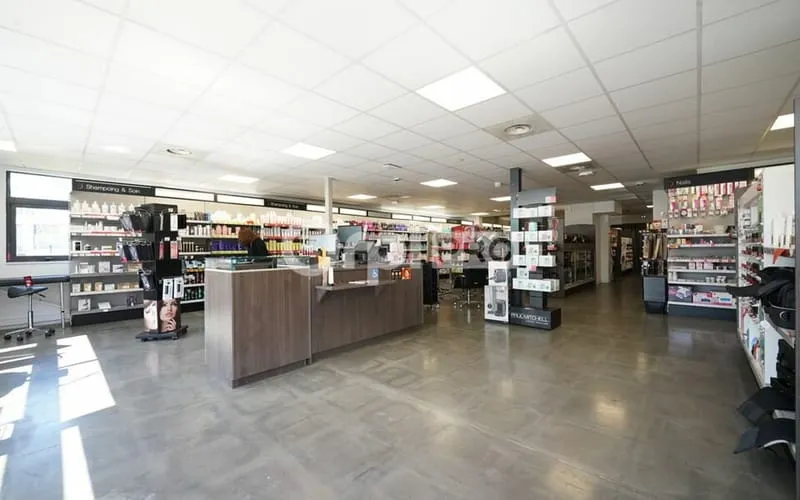 Local d'activité