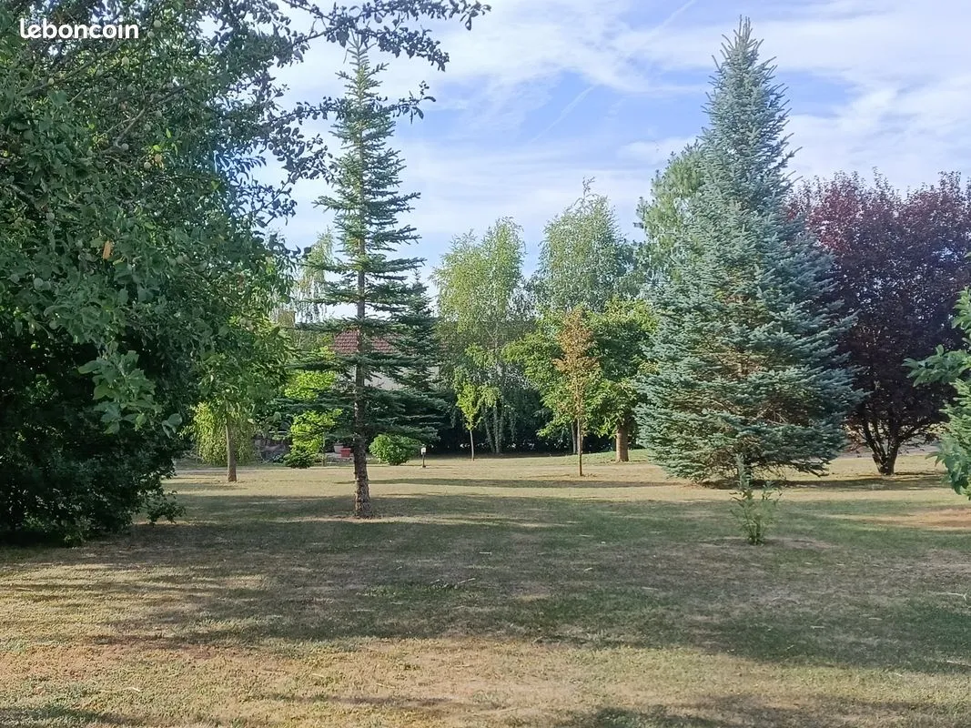 Terrain