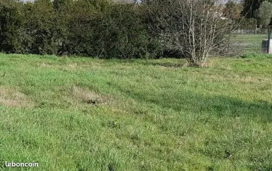 Terrain