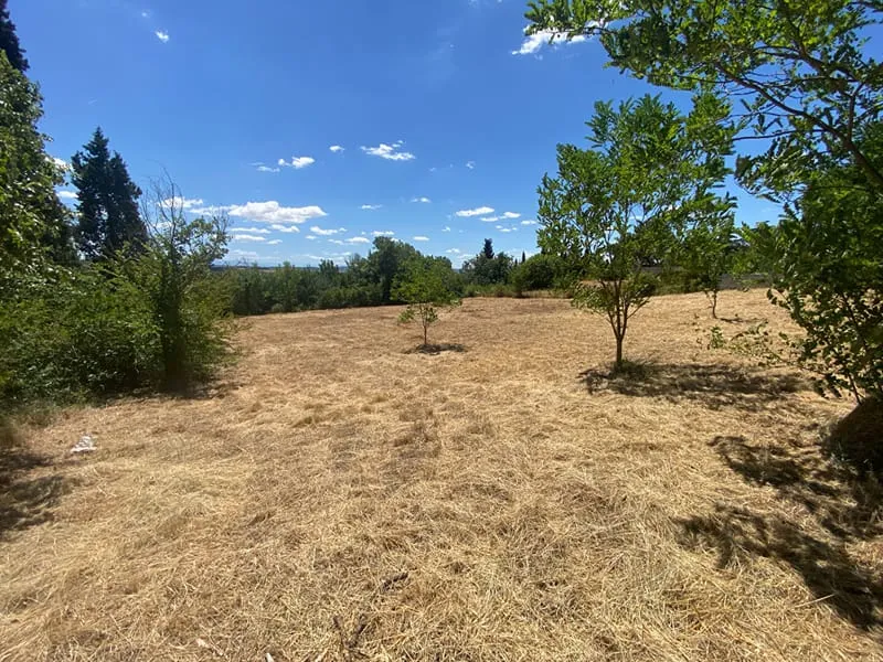 Terrain