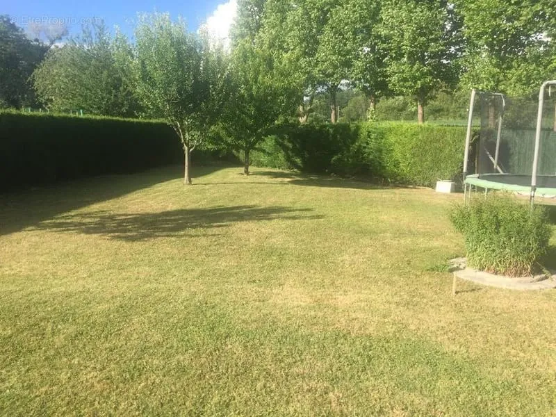 Terrain