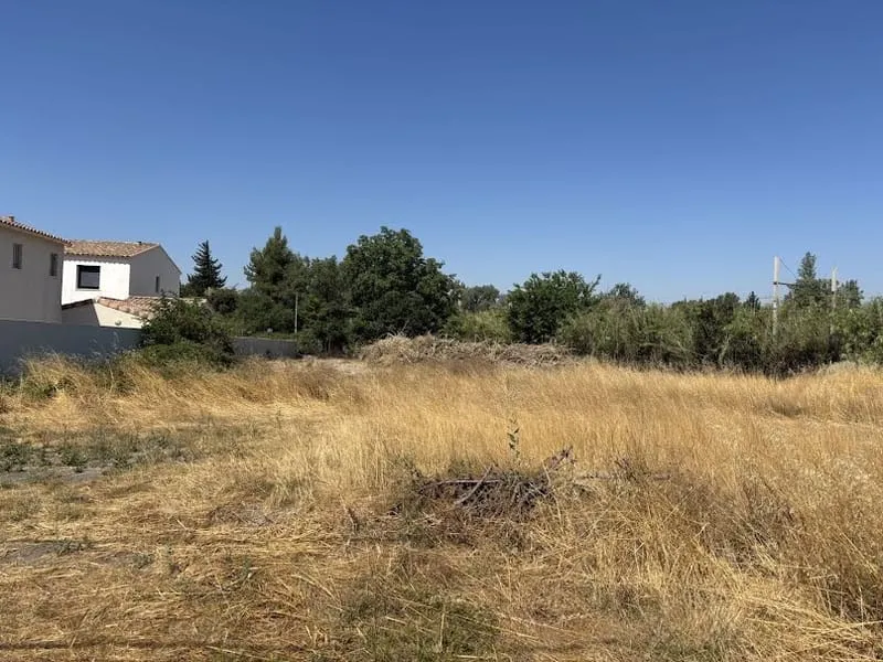 Terrain