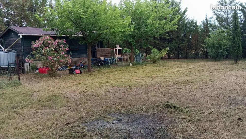 Terrain