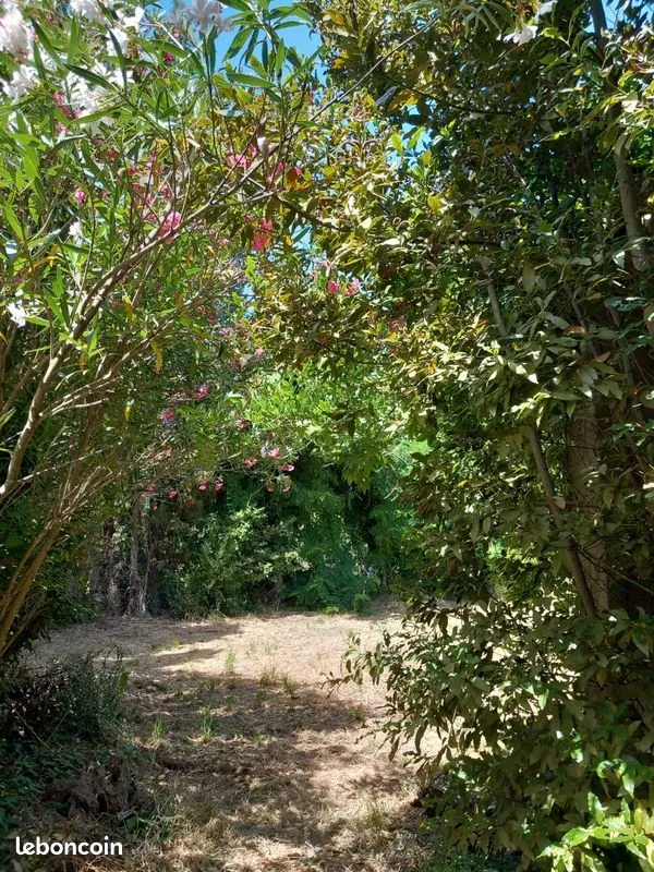 Terrain