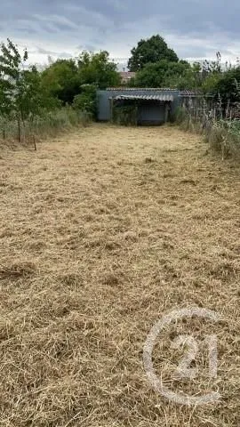 Terrain