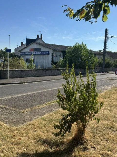 Local d'activité