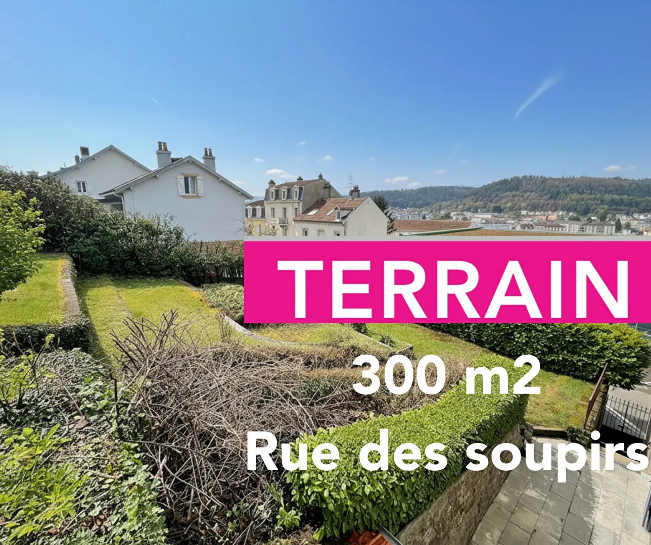 Terrain