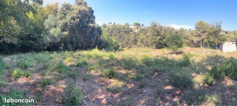 Terrain