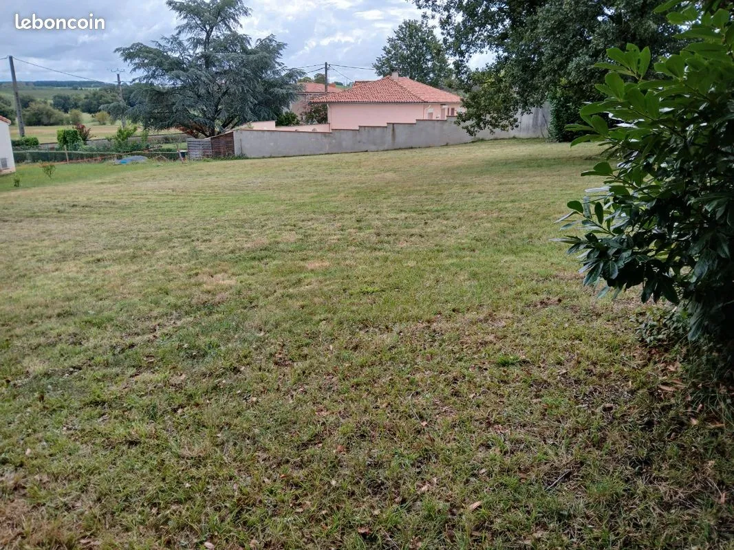 Terrain