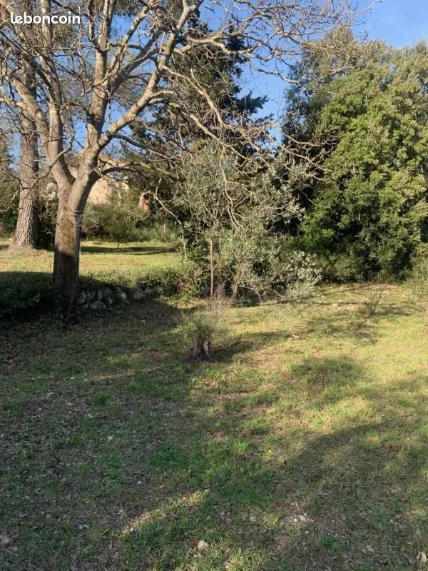 Terrain