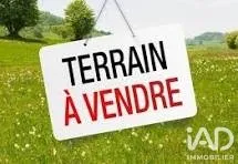 Terrain