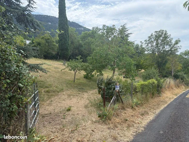 Terrain