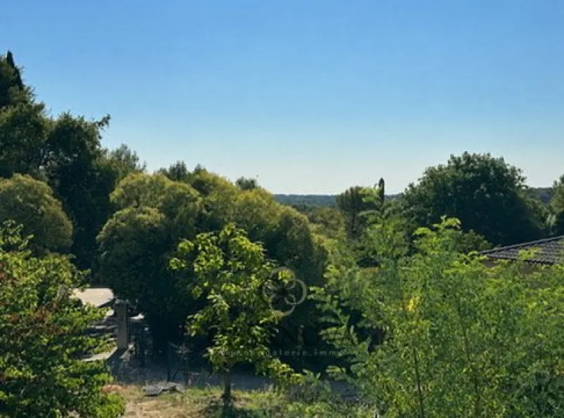 Terrain
