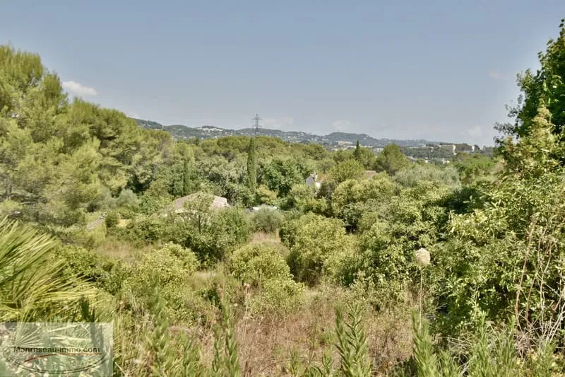 Terrain