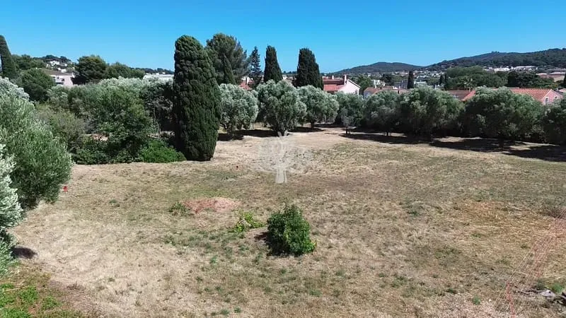 Terrain