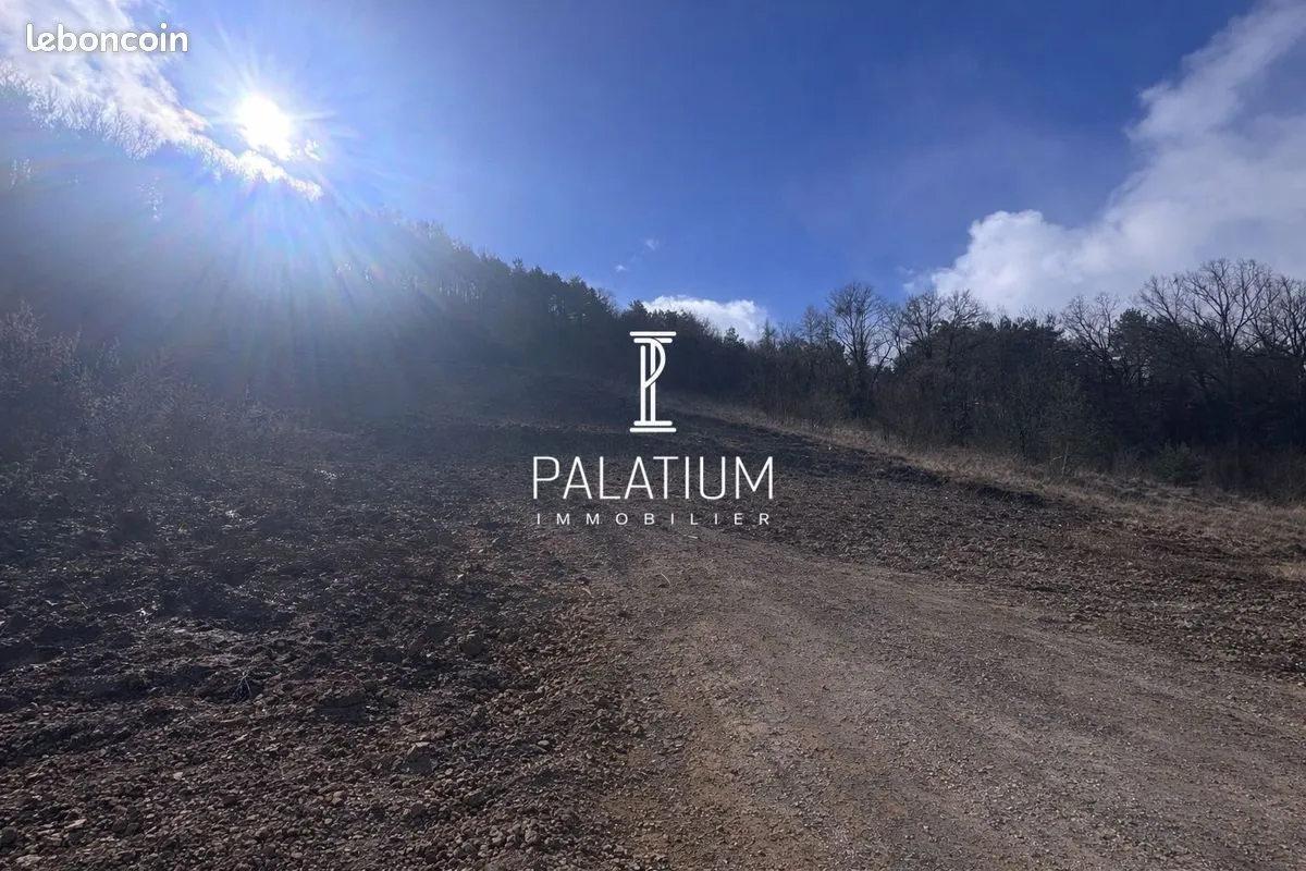 Terrain