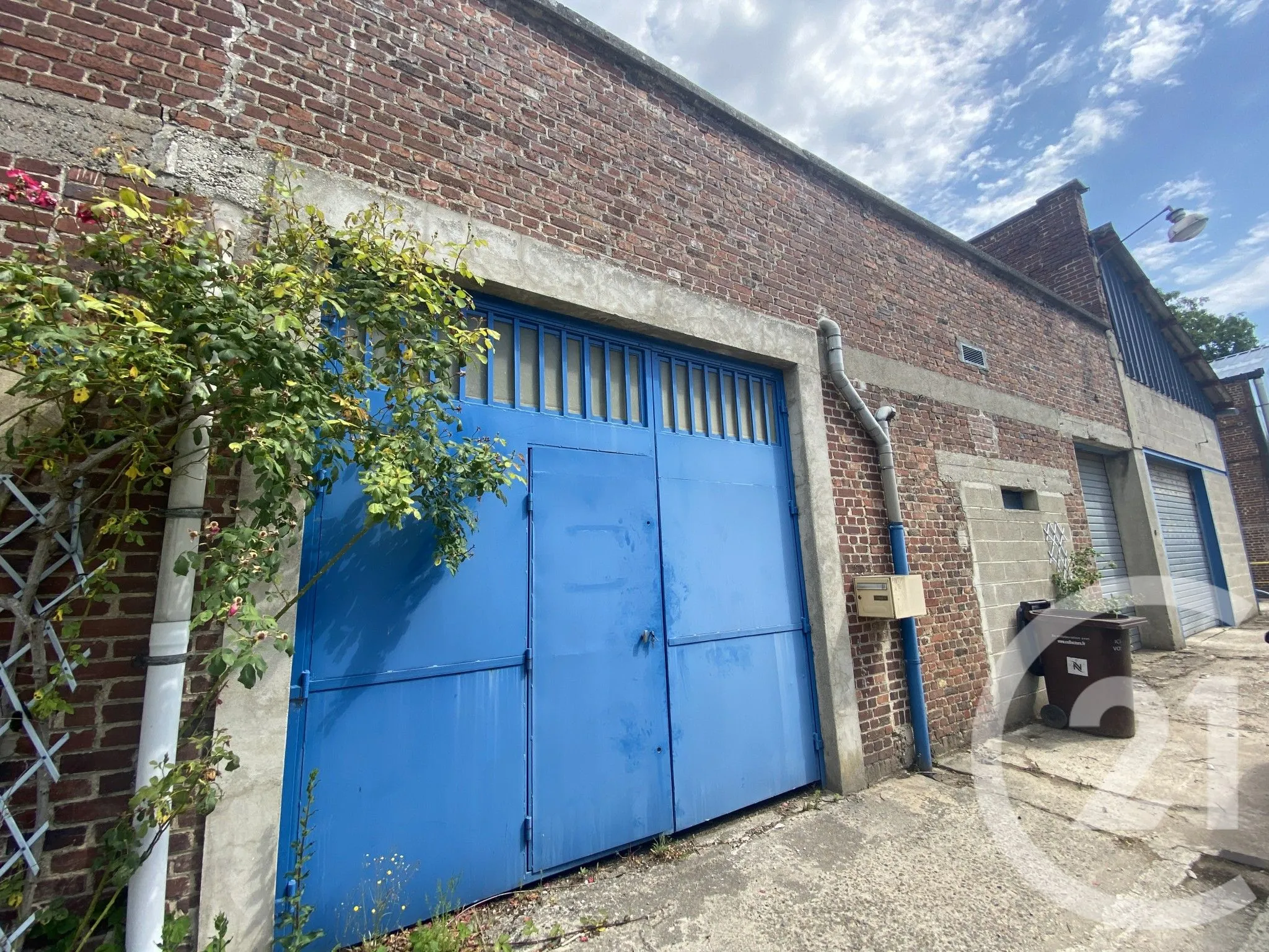 Local d'activité