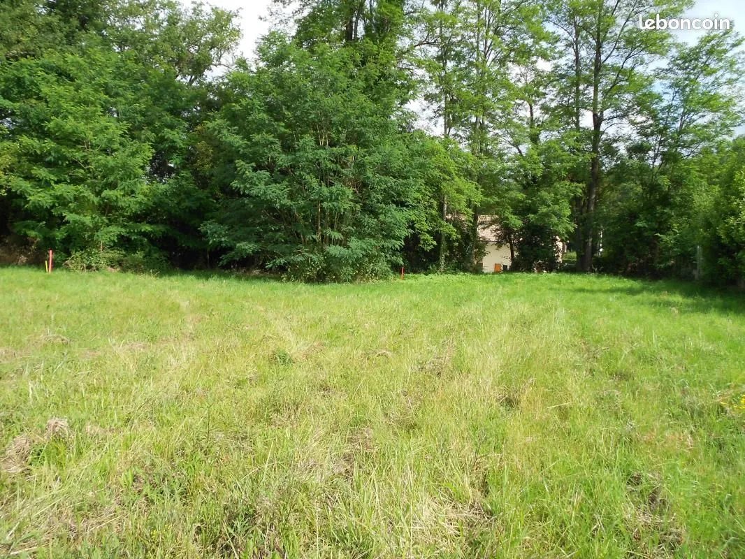 Terrain