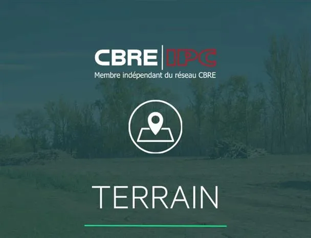 Terrain