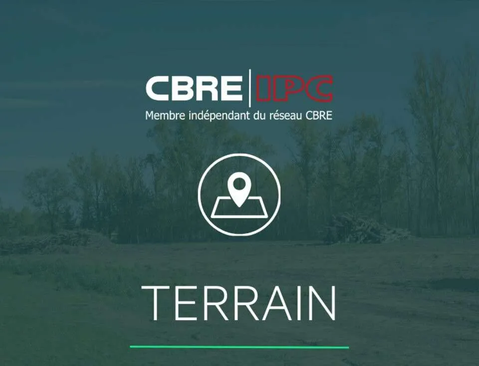Terrain