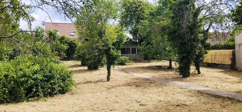 Terrain
