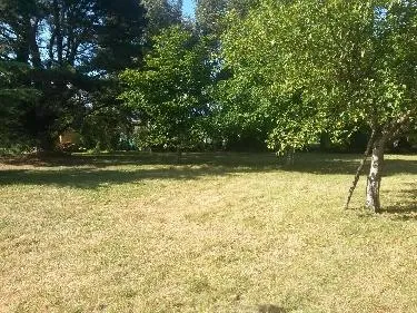 Terrain