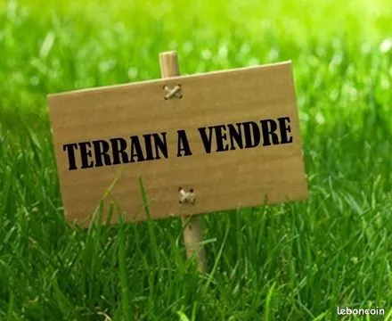 Terrain