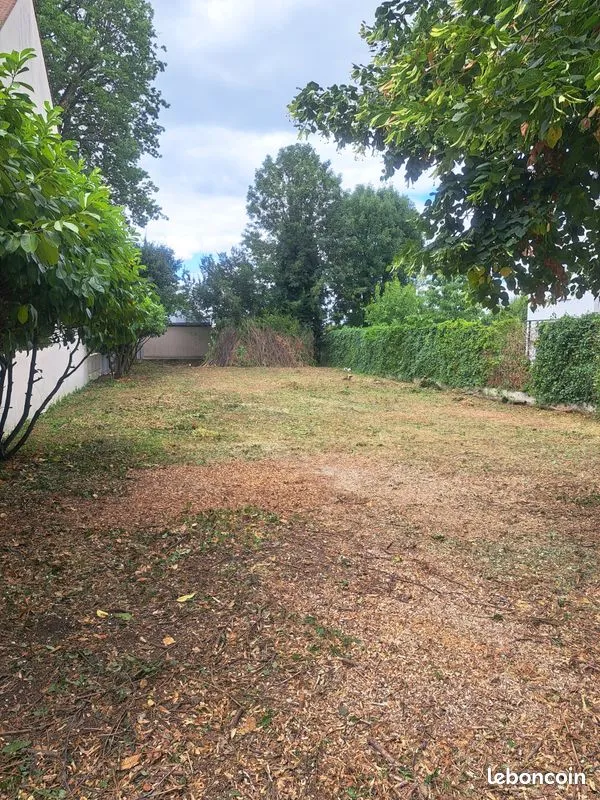 Terrain