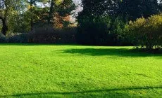 Terrain