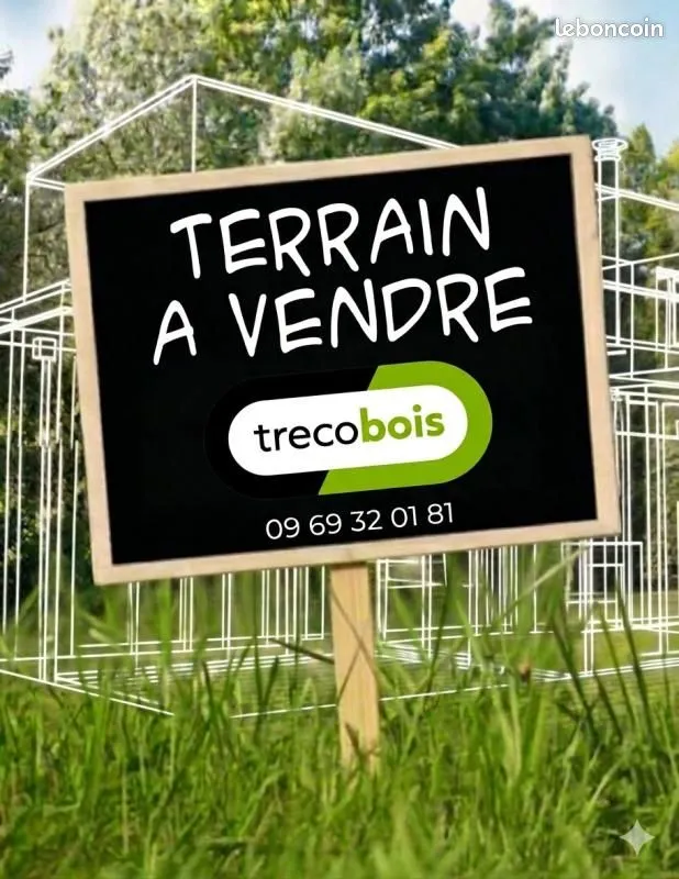 Terrain