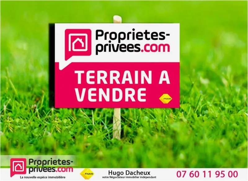 Terrain