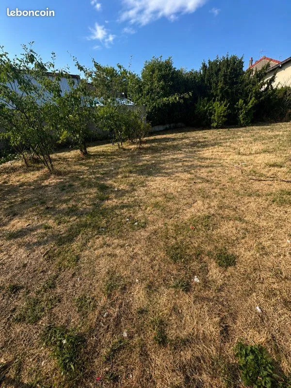 Terrain