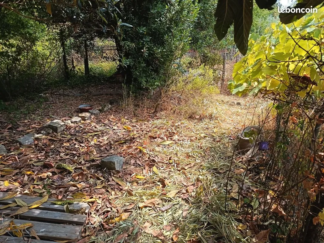Terrain