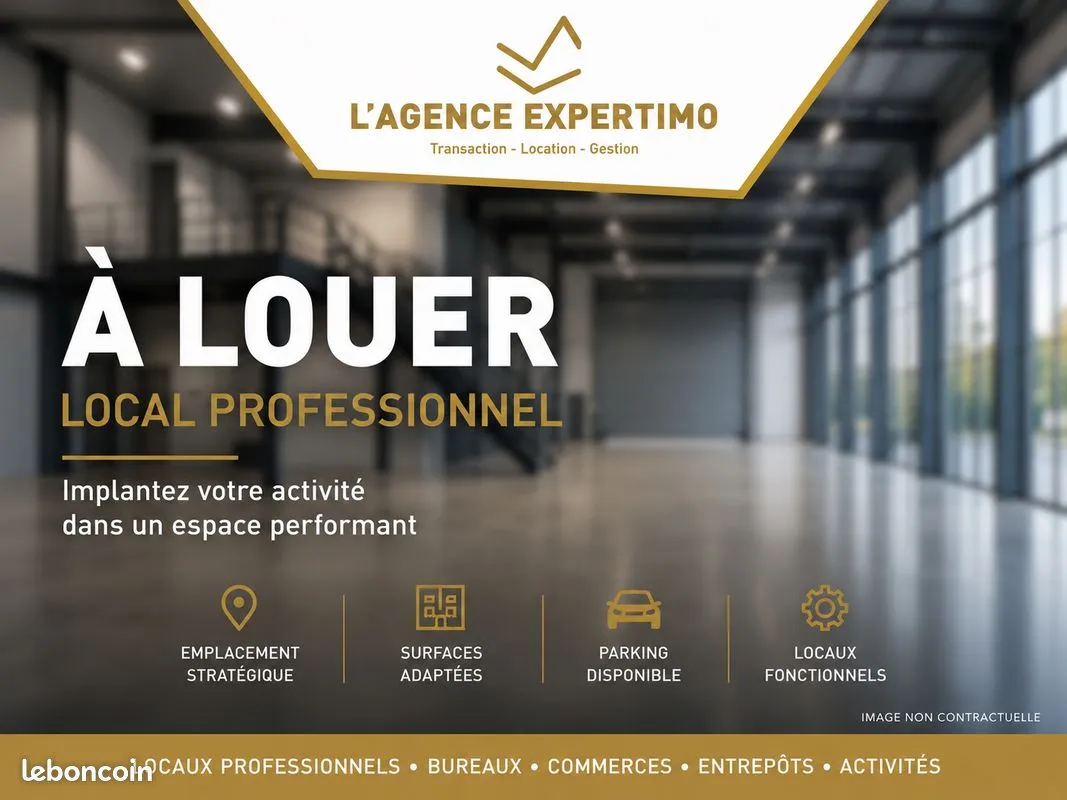 Local d'activité