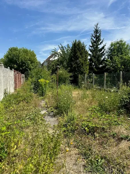 Terrain
