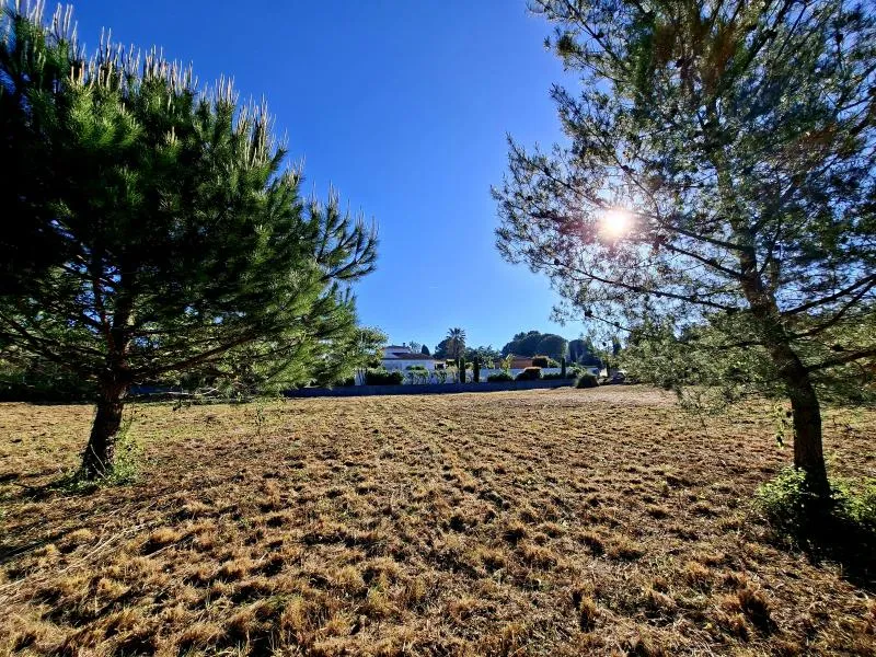 Terrain