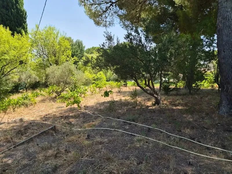 Terrain
