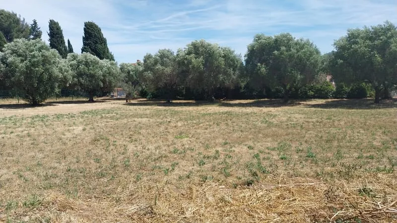 Terrain