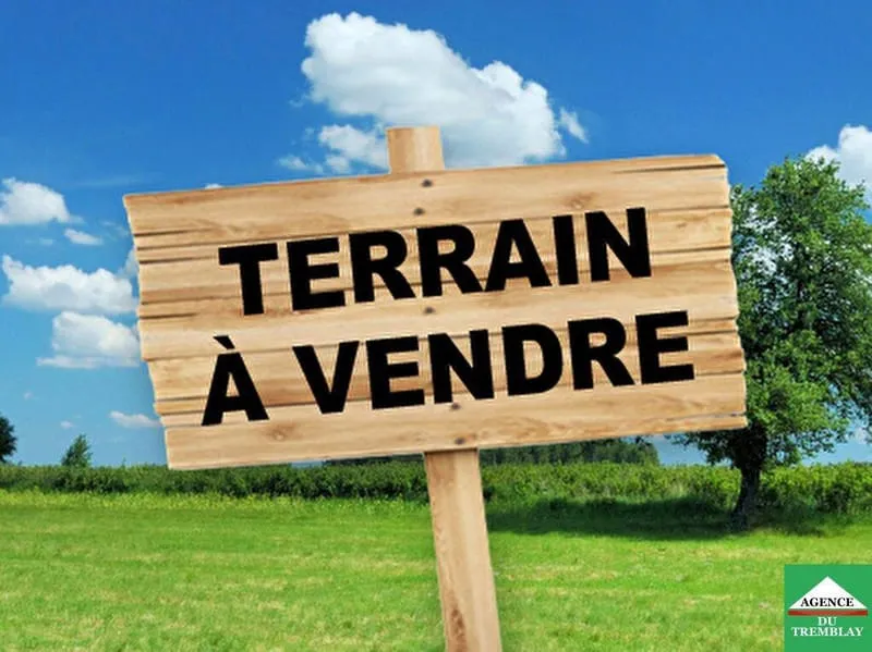 Terrain