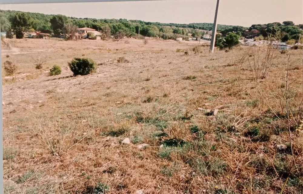 Terrain