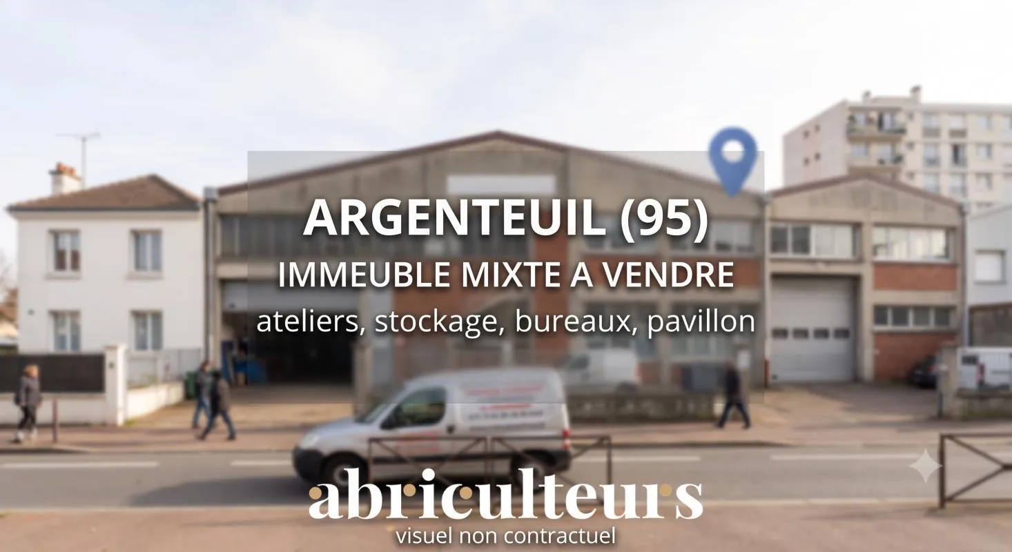 Local d'activité